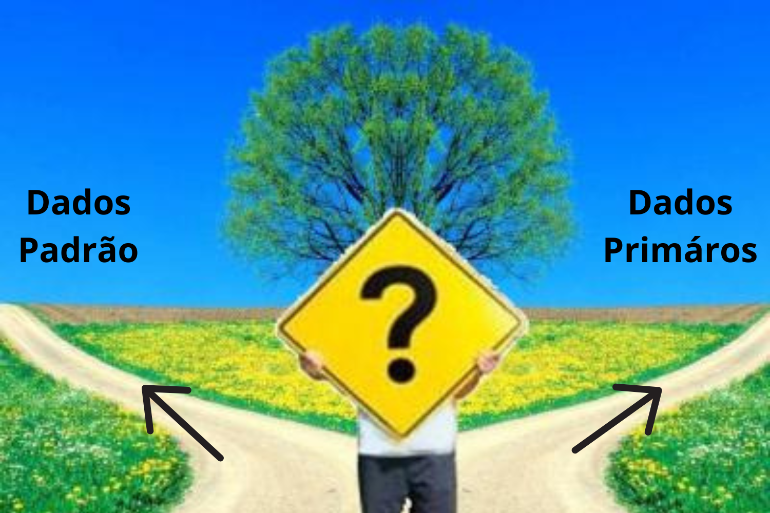 Fase Agrícola RenovaCalc Biodiesel