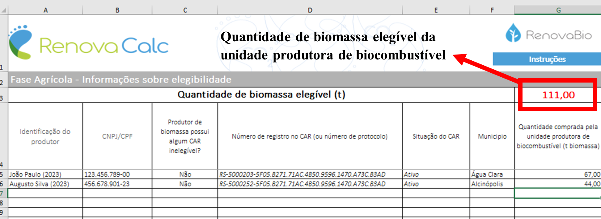 Aba Elegibilidade da RenovaCalc