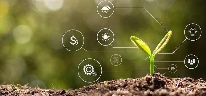 6 dicas para os dados agrícolas na RenovaCalc