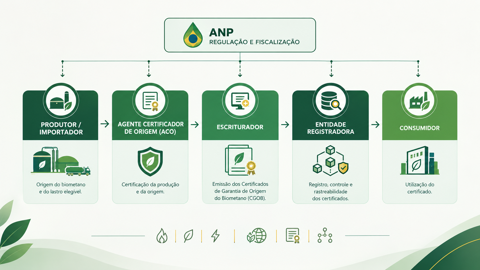 Quem é Quem no CGOB? Entenda o Papel do ACO, Escriturador, Entidade Registradora e ANP
