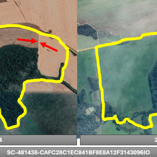 Gestão de CAR no RenovaBio: o pulo do gato para gerar mais CBIOs