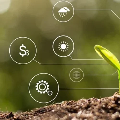 6 dicas para os dados agrícolas na RenovaCalc